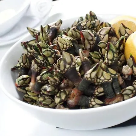 Charles House - Baleal Ferrel (Leiria)