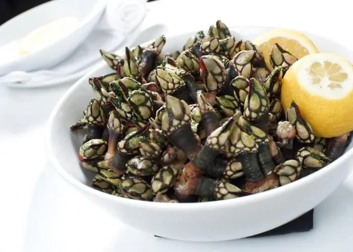 Charles House - Baleal 费雷尔